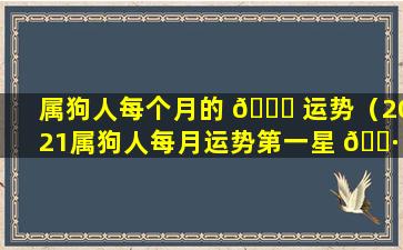 属狗人每个月的 💐 运势（2021属狗人每月运势第一星 🌷 座网）